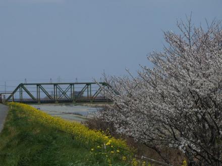 h244935.jpg