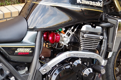 IMGP2584.jpg