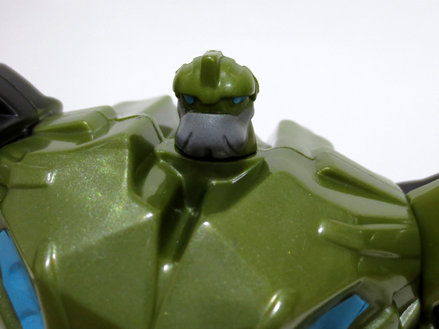 TF_Happy_set_2013_23.jpg