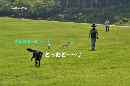 泥棒カイエン2