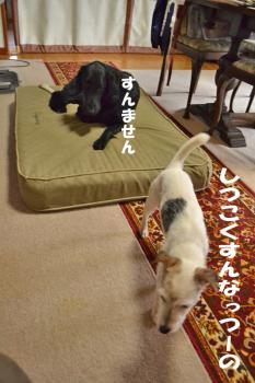 パイの教育的指導