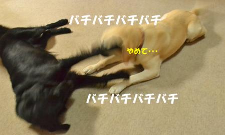 部屋あそび5
