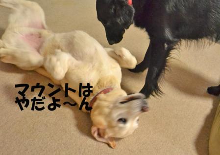 部屋あそび2