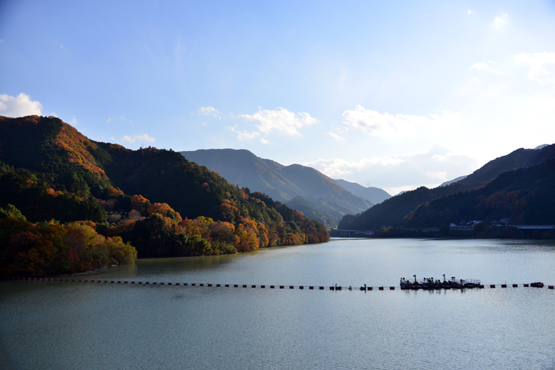 DSC_0871_394.jpg
