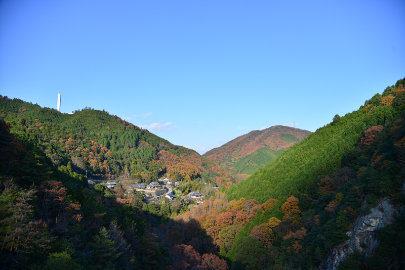 DSC_0872_395.jpg