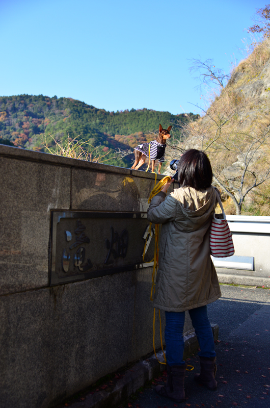 DSC_0874_397.jpg