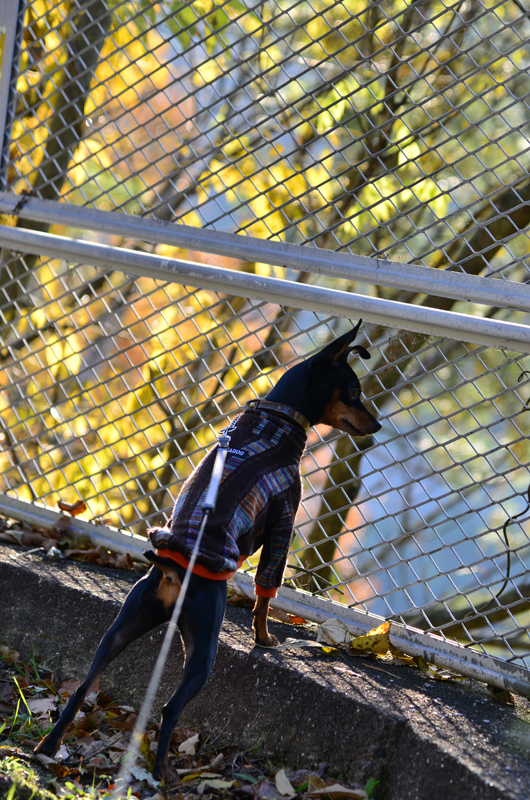 DSC_0877_400.jpg