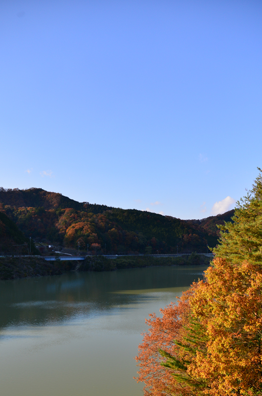 DSC_0888_410.jpg