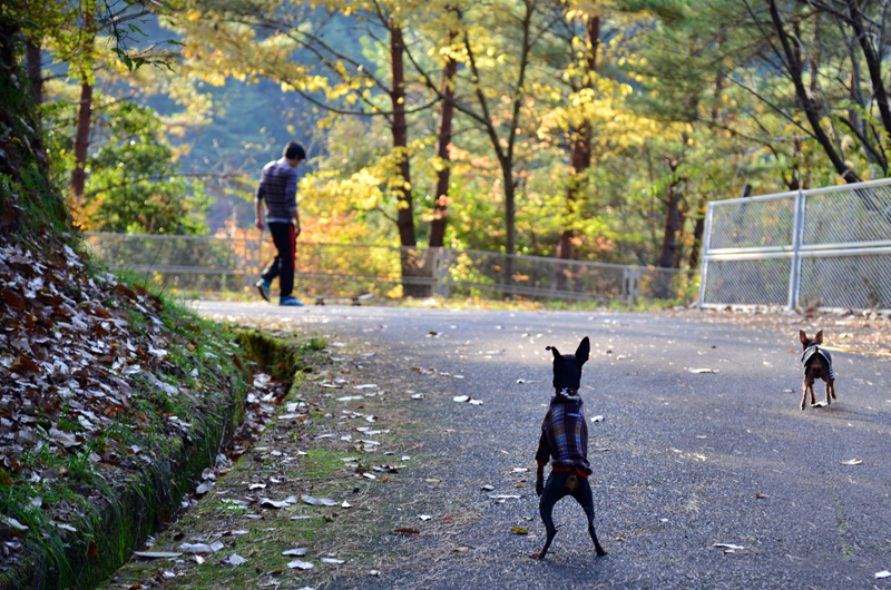 DSC_0889_411.jpg