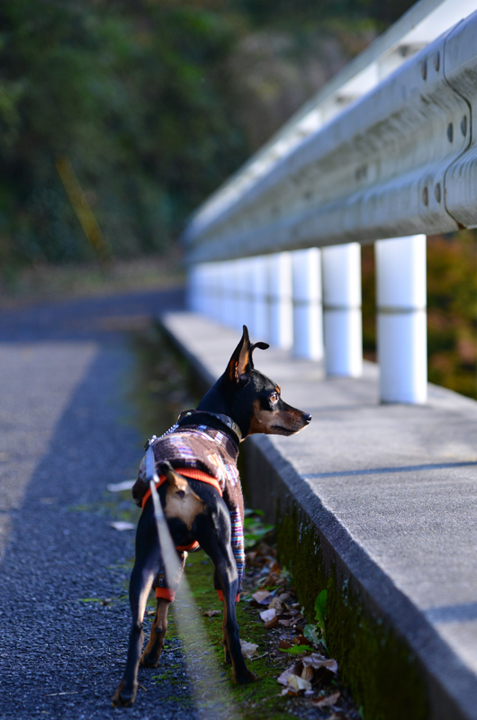 DSC_0891_413.jpg
