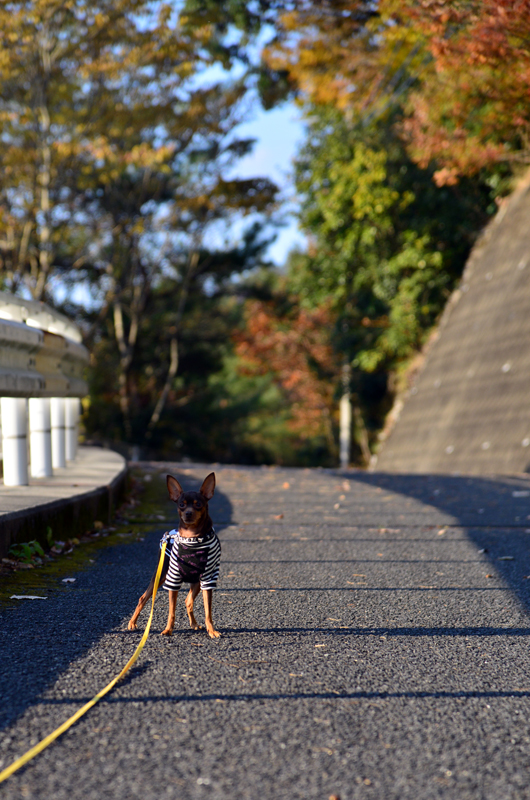 DSC_0901_423.jpg