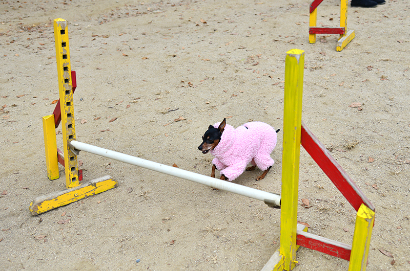 DSC_1036.jpg