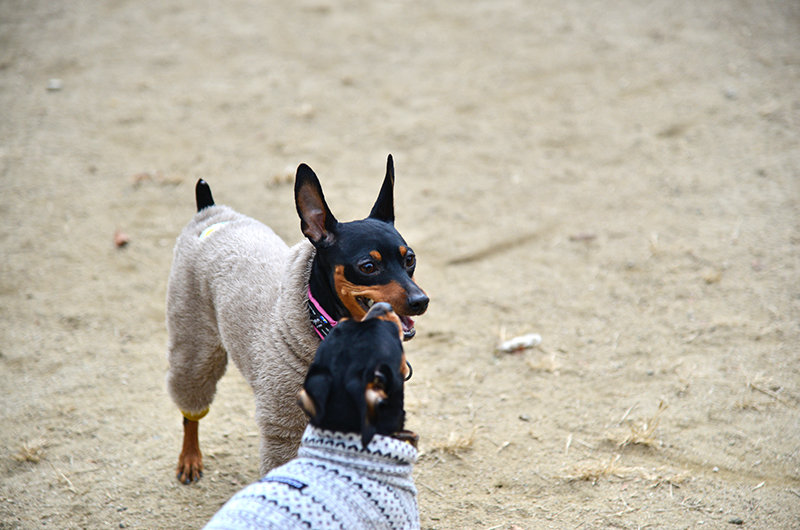 DSC_1040.jpg