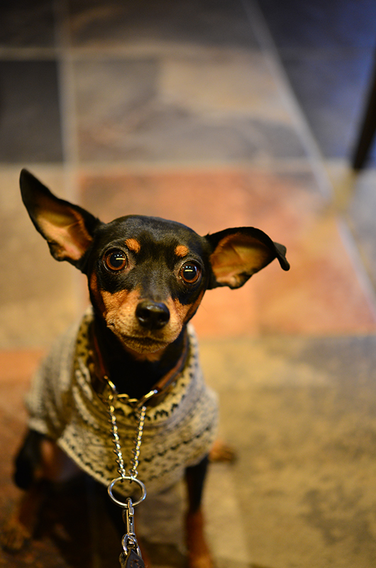 DSC_1081.jpg