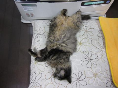 mtdn03_20120101200724.jpg