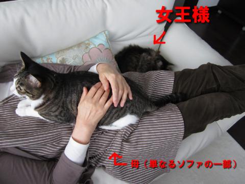 mtdn03.jpg