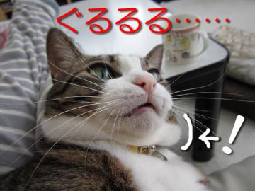 nksk03.jpg