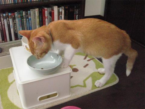 sippo06.jpg