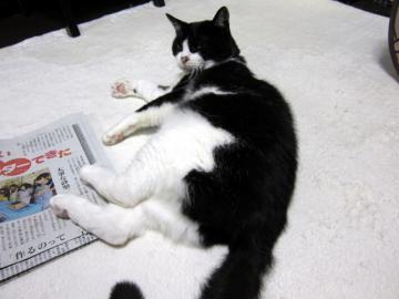 tnn06.jpg