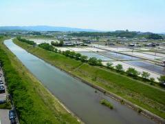 RIMG0585_480.jpg