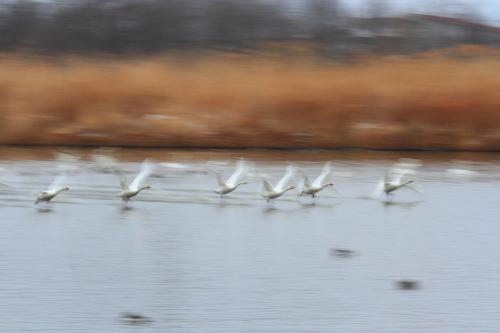 IMG_7277s.jpg