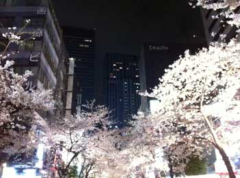 12040701.jpg