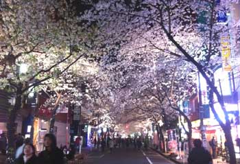 12040702.jpg
