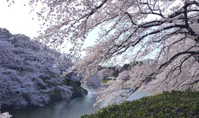 12040812.jpg