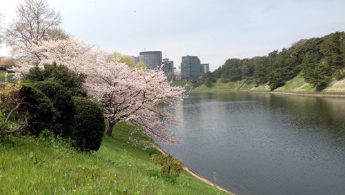 IMG_8311.jpg