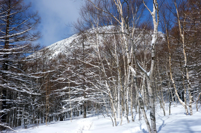 P1030201.jpg