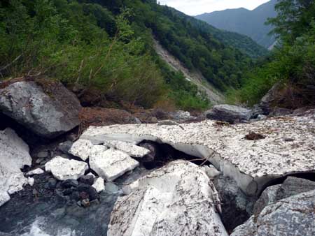 P1050042.jpg