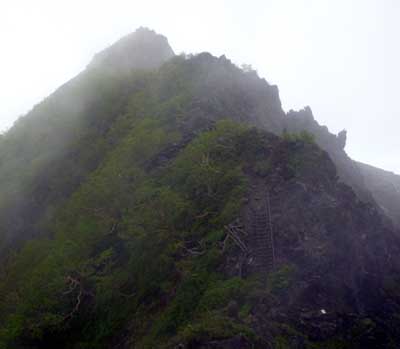 P1050053.jpg