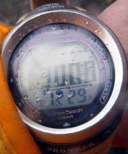 P1050059.jpg