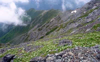 P1050063.jpg