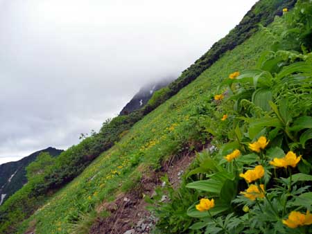 P1050118.jpg