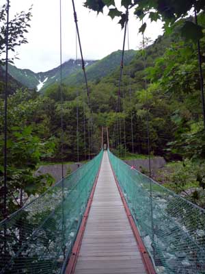 P1050132.jpg