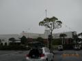 20111015_satsumagun2_convert_20111015215725.jpg