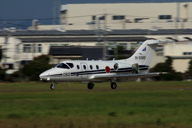 IMG_3884-60 (640x427)