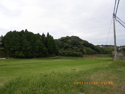 s-11 11 08 006