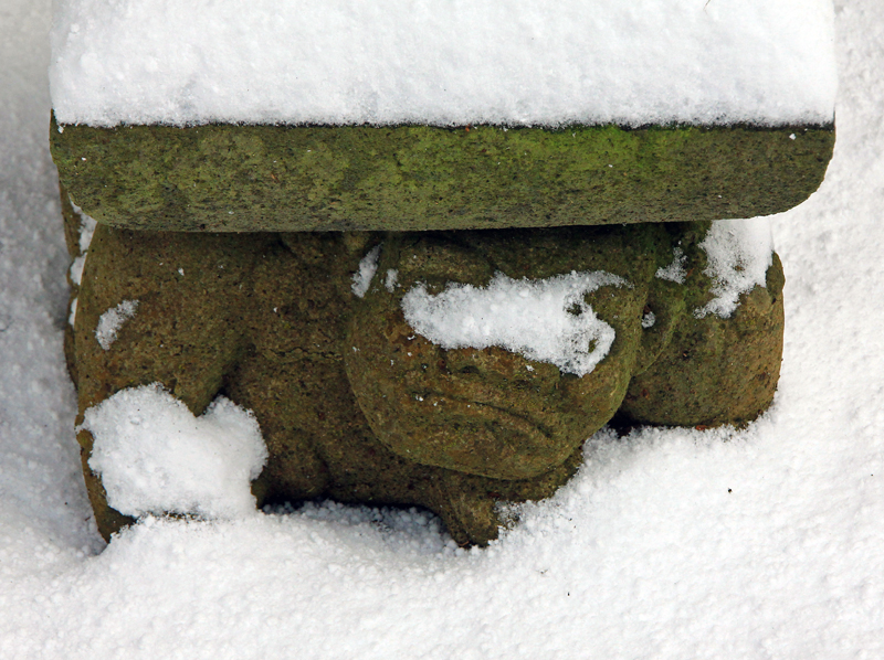 雪3
