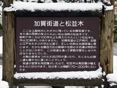 説明