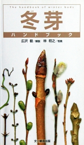 本