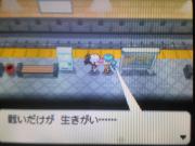 1003スターのみ4
