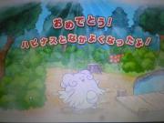 1123ハピナス4