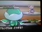 1122トレイン5