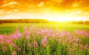 images (44)