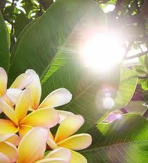 images (84)