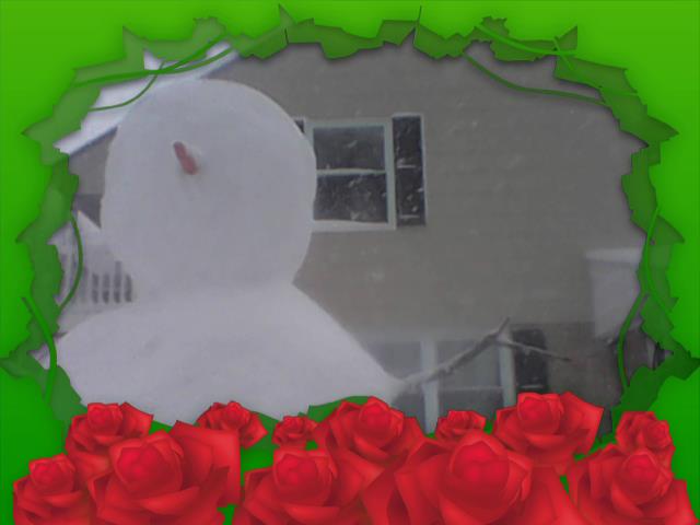 TPhoto_00005.jpg