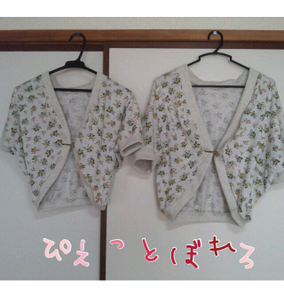 fc2blog_201204101655321fb.png