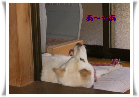 あ~~あ